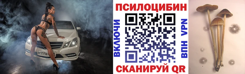 Псилоцибиновые грибы Psilocybine cubensis Струнино